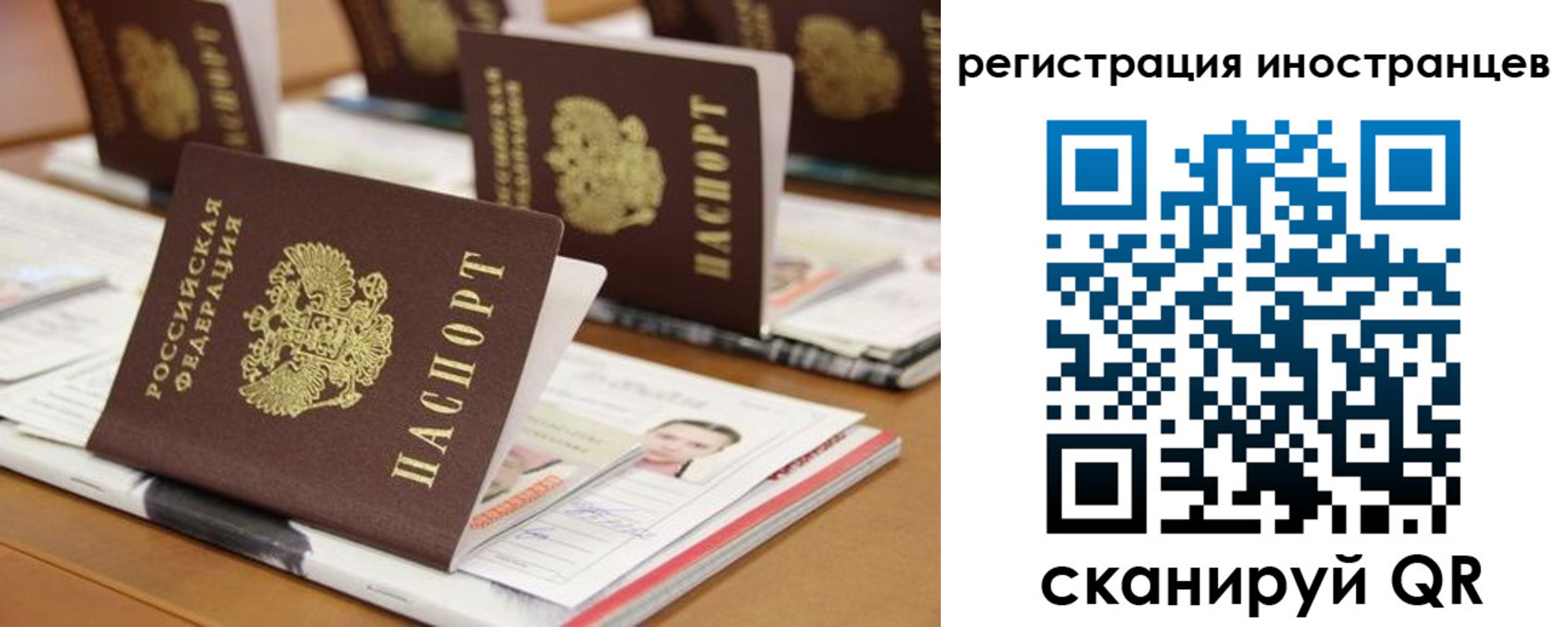 прописка для работы в Ростовской области